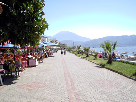 01Calis
